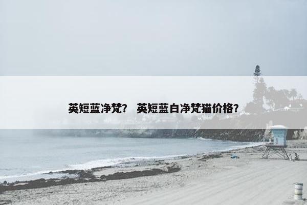 英短蓝净梵？ 英短蓝白净梵猫价格？