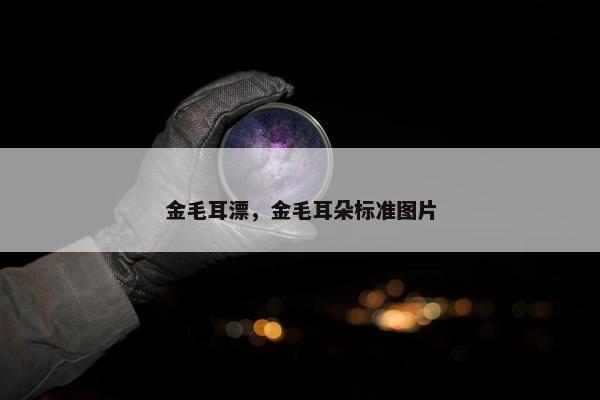 金毛耳漂，金毛耳朵标准图片