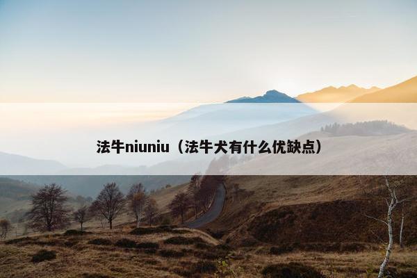 法牛niuniu（法牛犬有什么优缺点）