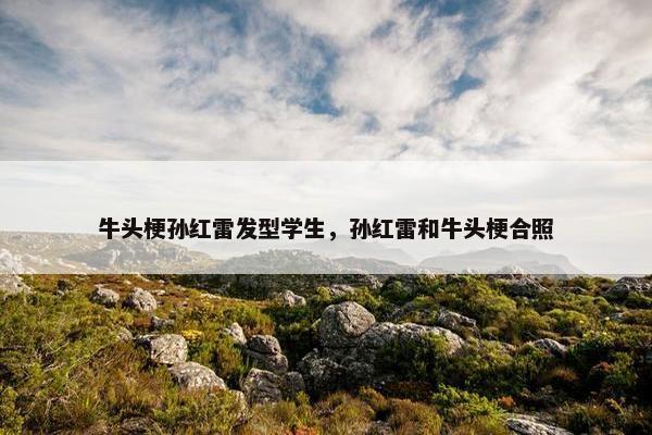 牛头梗孙红雷发型学生，孙红雷和牛头梗合照