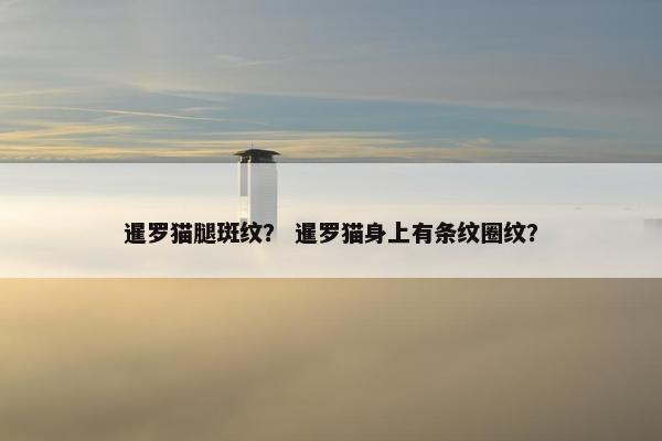 暹罗猫腿斑纹？ 暹罗猫身上有条纹圈纹？