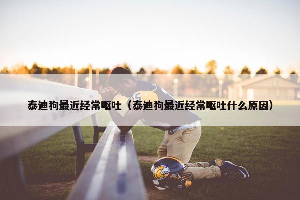 泰迪狗最近经常呕吐（泰迪狗最近经常呕吐什么原因）