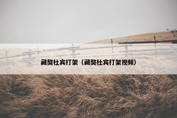 藏獒杜宾打架（藏獒杜宾打架视频）