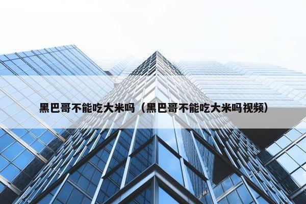 黑巴哥不能吃大米吗（黑巴哥不能吃大米吗视频）