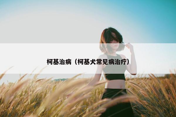 柯基治病（柯基犬常见病治疗）