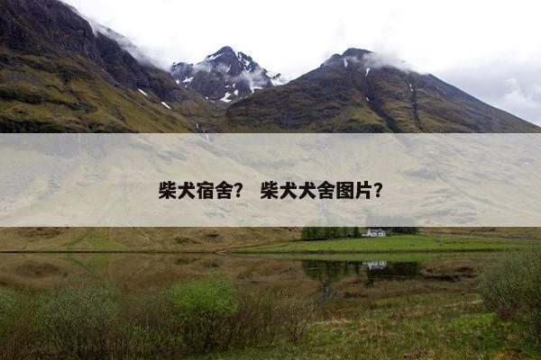 柴犬宿舍？ 柴犬犬舍图片？