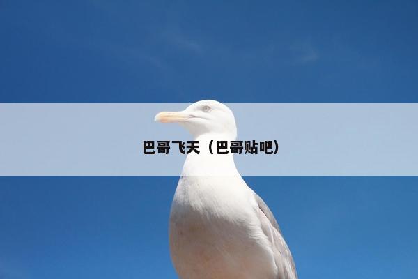 巴哥飞天（巴哥贴吧）