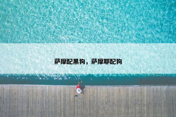 萨摩配黑狗，萨摩耶配狗