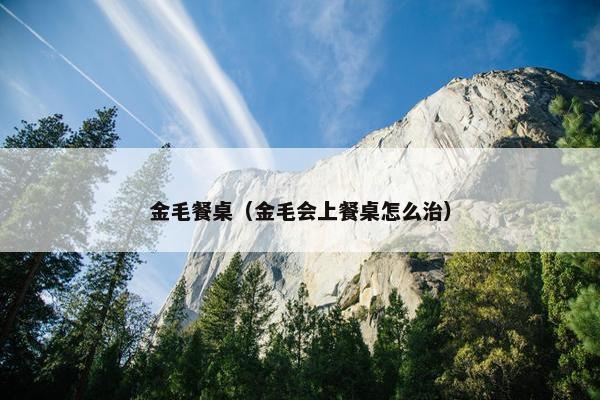 金毛餐桌（金毛会上餐桌怎么治）