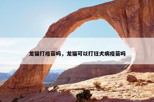 龙猫打疫苗吗，龙猫可以打狂犬病疫苗吗