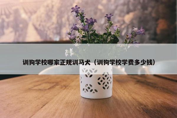 训狗学校哪家正规训马犬（训狗学校学费多少钱）