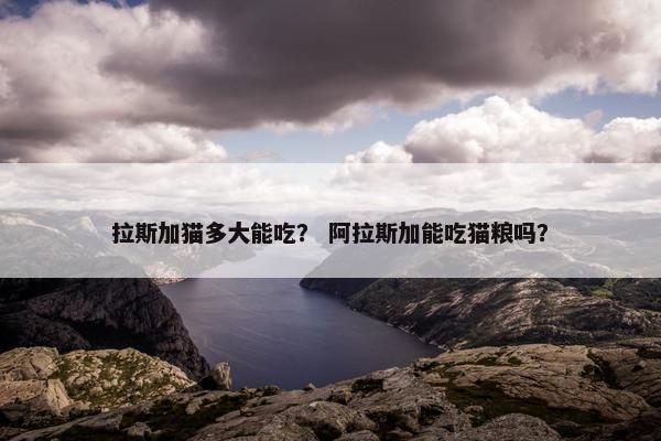 拉斯加猫多大能吃？ 阿拉斯加能吃猫粮吗？