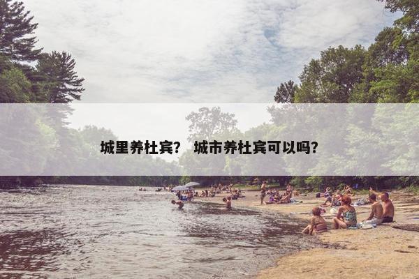 城里养杜宾？ 城市养杜宾可以吗？