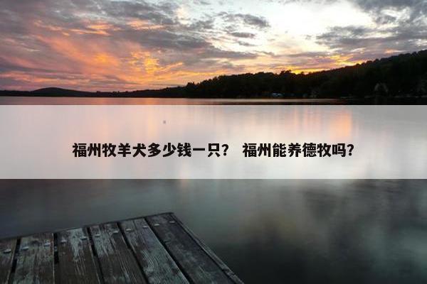 福州牧羊犬多少钱一只？ 福州能养德牧吗？
