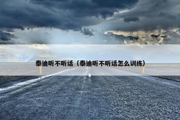 泰迪听不听话（泰迪听不听话怎么训练）