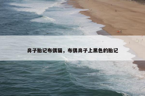 鼻子胎记布偶猫，布偶鼻子上黑色的胎记