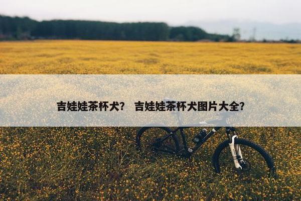 吉娃娃茶杯犬？ 吉娃娃茶杯犬图片大全？