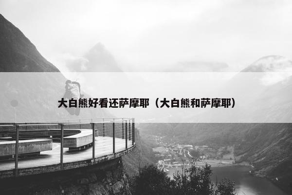 大白熊好看还萨摩耶（大白熊和萨摩耶）