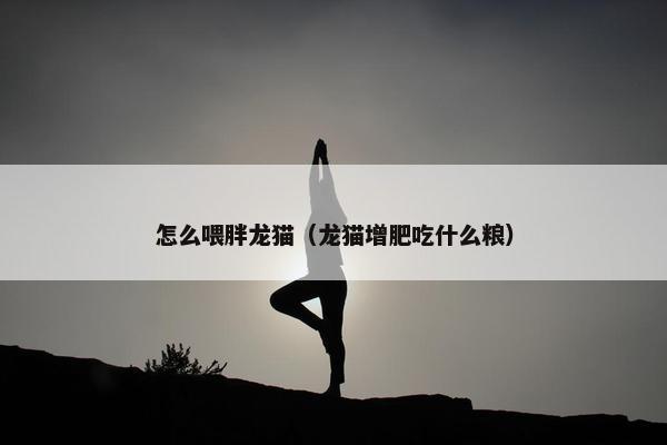 怎么喂胖龙猫（龙猫增肥吃什么粮）