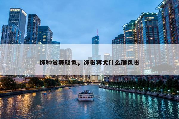 纯种贵宾颜色，纯贵宾犬什么颜色贵