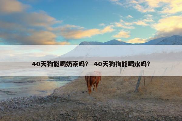 40天狗能喝奶茶吗？ 40天狗狗能喝水吗？