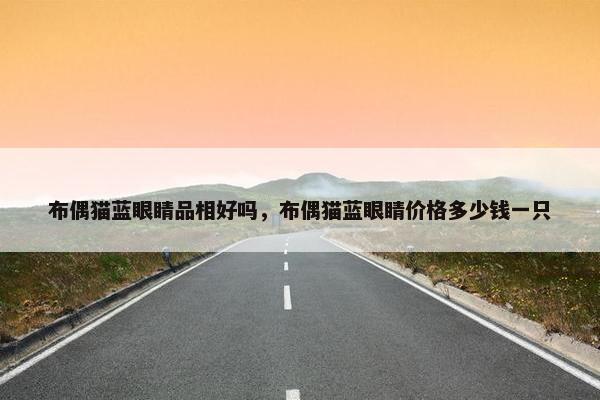 布偶猫蓝眼睛品相好吗，布偶猫蓝眼睛价格多少钱一只