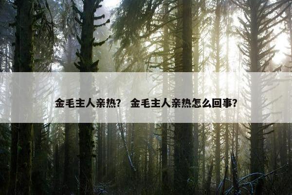 金毛主人亲热？ 金毛主人亲热怎么回事？