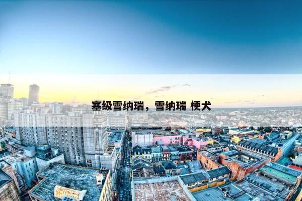 塞级雪纳瑞，雪纳瑞 梗犬