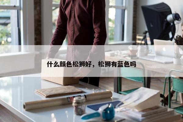 什么颜色松狮好，松狮有蓝色吗