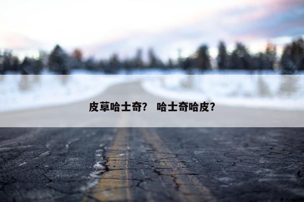 皮草哈士奇？ 哈士奇哈皮？