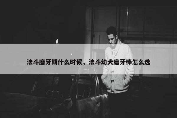 法斗磨牙期什么时候，法斗幼犬磨牙棒怎么选