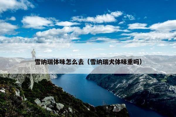 雪纳瑞体味怎么去（雪纳瑞犬体味重吗）