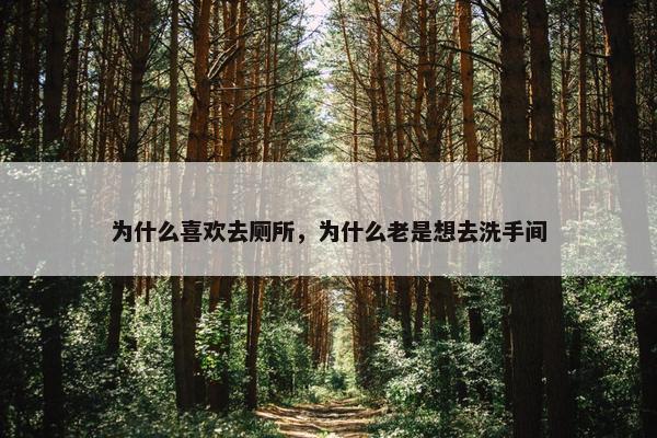 为什么喜欢去厕所，为什么老是想去洗手间