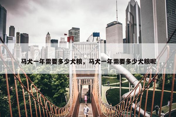马犬一年需要多少犬粮，马犬一年需要多少犬粮呢