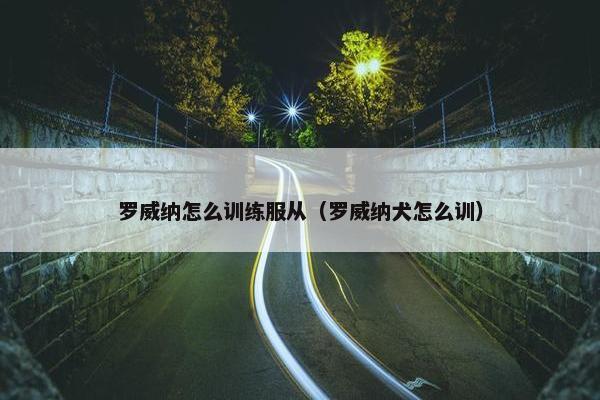 罗威纳怎么训练服从（罗威纳犬怎么训）
