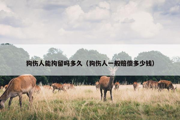 狗伤人能拘留吗多久（狗伤人一般赔偿多少钱）