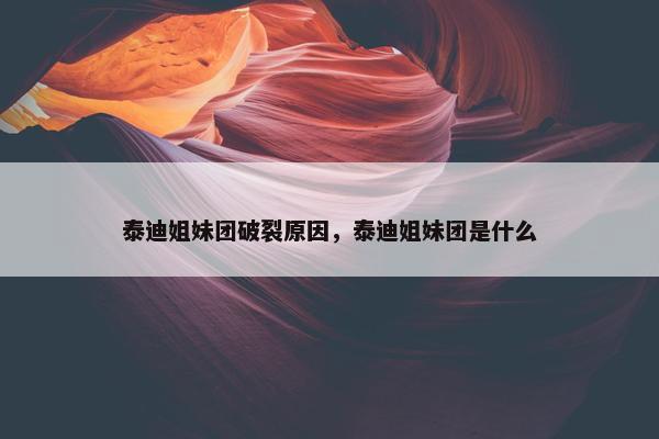 泰迪姐妹团破裂原因，泰迪姐妹团是什么