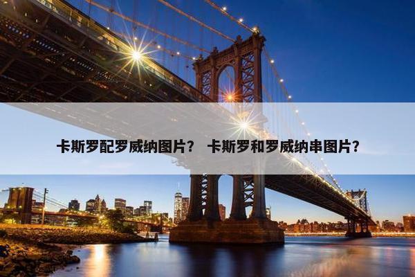 卡斯罗配罗威纳图片？ 卡斯罗和罗威纳串图片？