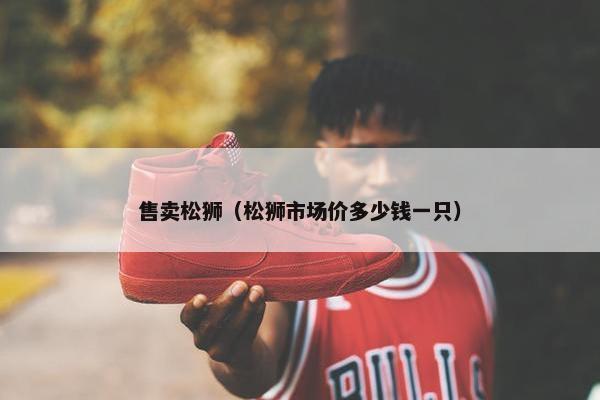 售卖松狮（松狮市场价多少钱一只）