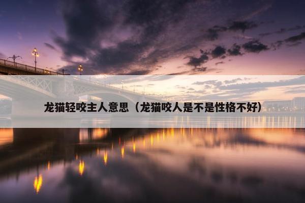 龙猫轻咬主人意思（龙猫咬人是不是性格不好）