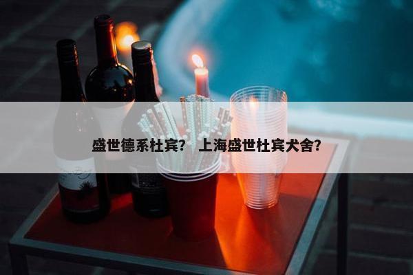 盛世德系杜宾？ 上海盛世杜宾犬舍？
