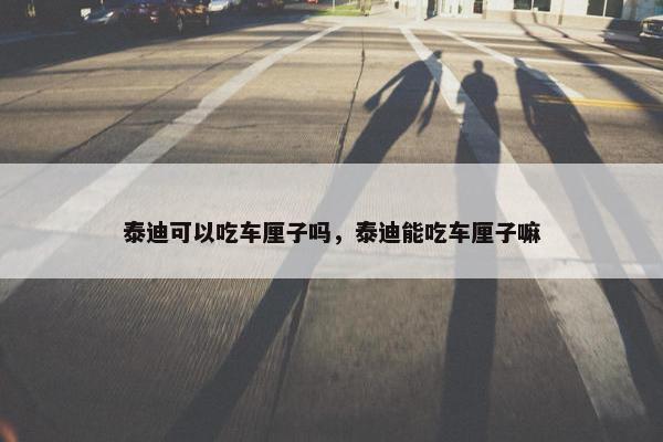 泰迪可以吃车厘子吗，泰迪能吃车厘子嘛