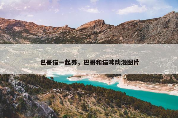 巴哥猫一起养，巴哥和猫咪动漫图片