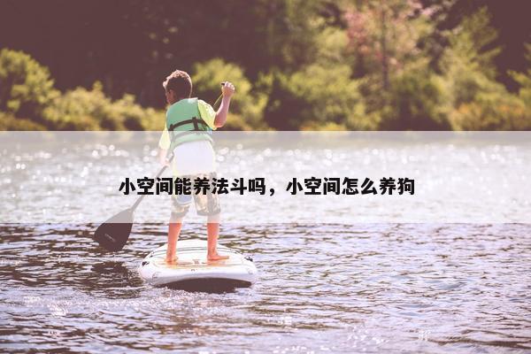 小空间能养法斗吗，小空间怎么养狗