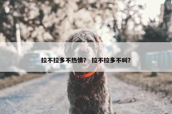 拉不拉多不热情？ 拉不拉多不叫？