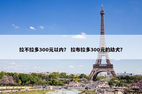 拉不拉多300元以内？ 拉布拉多300元的幼犬？