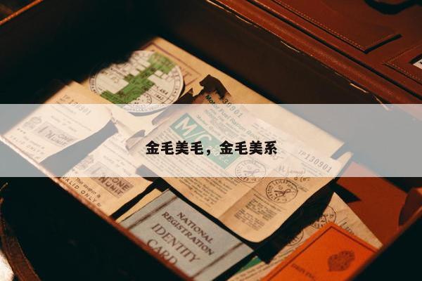 金毛美毛，金毛美系