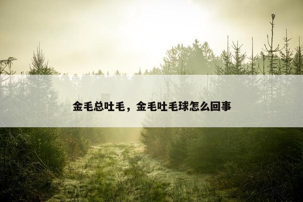 金毛总吐毛，金毛吐毛球怎么回事