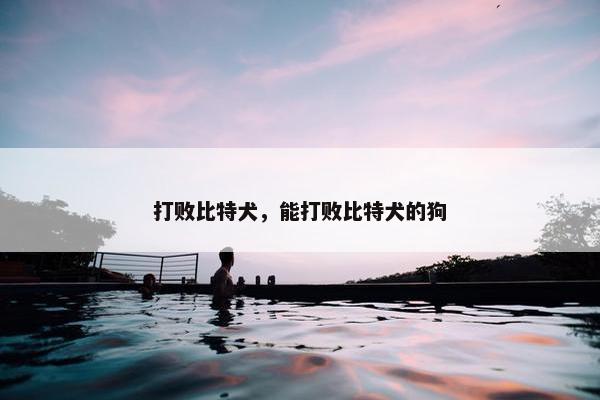 打败比特犬，能打败比特犬的狗