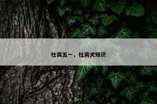 杜宾五一，杜宾犬知识